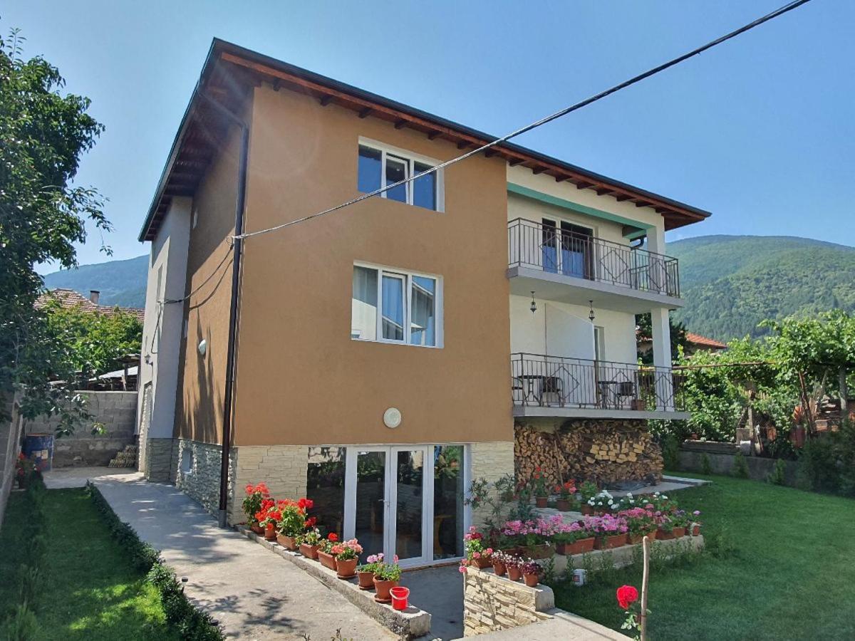 Дамяновата Къща Villa Sapareva Banya Buitenkant foto
